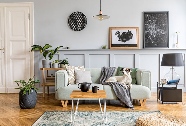 Stylish Interior Design Living Room Modern