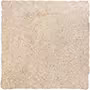Pumice Taupe