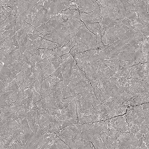 Eagel DK flr Ceramic Tiles