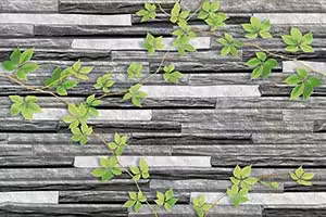 Lacker Grey Décor Ceramic Tiles