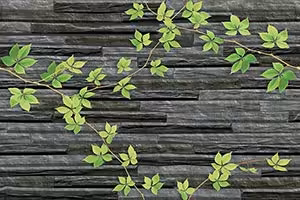 Lacker Nero Leaf Ceramic Tiles