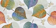 LUCID LEAFS HL Ceramic Tiles