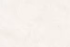 Sainer LT Ceramic Tiles