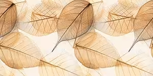 Unitas HL Ceramic Tiles