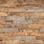 COAST WOOD Glazed Vitrified Tiles