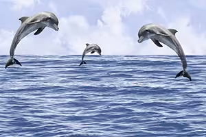 CLOUDY HL1 GLOSSY Ceramic Tiles