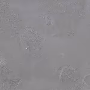 GLENTON CF Ceramic Tiles