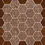 HEXAT UMBER Vitrified Tiles
