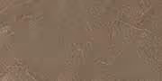 Chariot Brown Glazed Vitrified Tiles