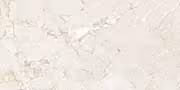 Epitome Silver Glazed Vitrified Tiles