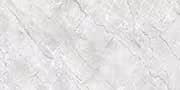 Trend Light Grey Glazed Vitrified Tiles