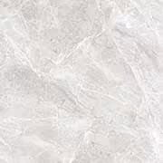 CARASS SILVER Vitrified Tiles