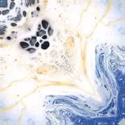 POWEL BRISS Vitrified Tiles