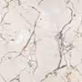 RIGLOS GOLD Glazed Vitrified Tiles