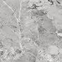 ARBESCATO GRIS Glazed Vitrified Tiles