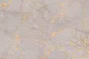 Disney Gold Glazed Vitrified Tiles