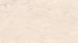 AMBROSIA BEIGE Glazed Vitrified Tiles