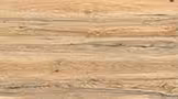 TROPIC WOOD CREMA Glazed Vitrified Tiles