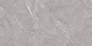 BLEVIN SILVER Vitrified Tiles