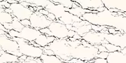 NERON SNOW Polished Vitrified Tiles