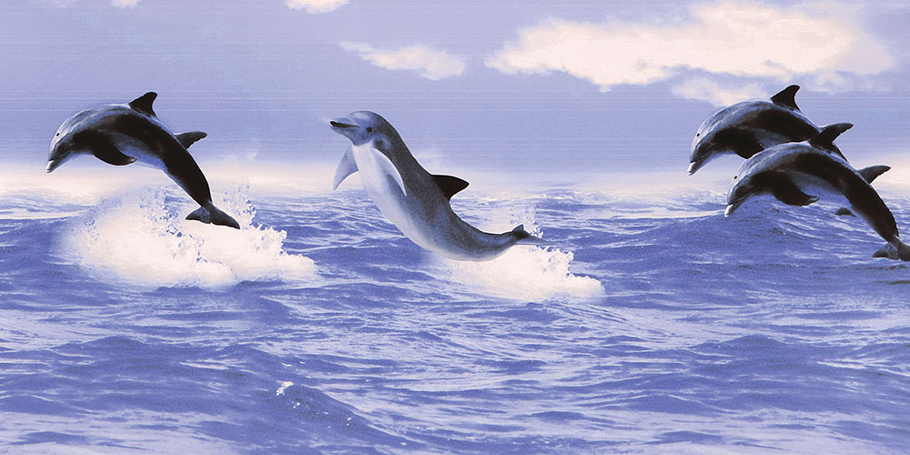 Indigo Dolphin Ceramic Tile