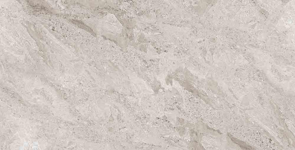 Moses Grey Vitrified Tile