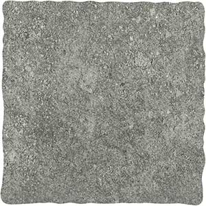 Andes Ash