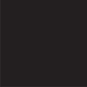 BM-REC BLACK (COATED)