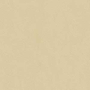 HENRY BEIGE VRUS