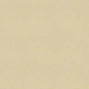 SP PALE BEIGE VMAT