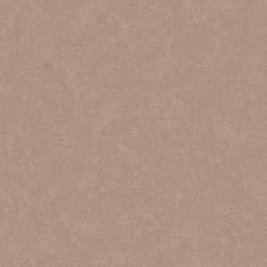 AMELIA MOCHA VMT