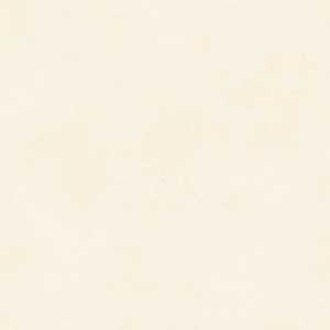 ARSENIA BEIGE RUS POUC