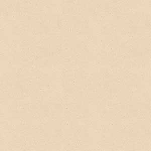 CHICAGO BEIGE RU MT REC