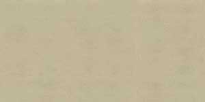 DESERT SAND VPOL
