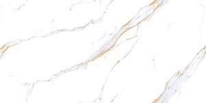 ELITE RHYTHM WHITE VPOL
