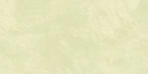 ESSENCE OLIVE  VMT