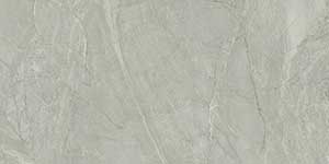 FENZA GREY RO REC