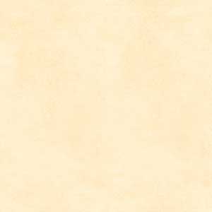 FOSSIL CREMA RMPOUC
