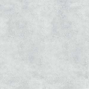FOSSIL LT GRIS RMPOUC