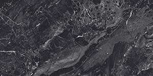 HENZ CHARCOAL HG REC-P