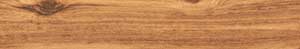 MAPPLE WOOD GOLD MTREC