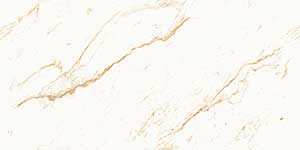 SINOX TAN HG REC