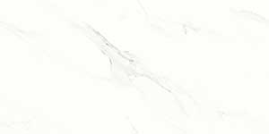SWISS STATUARIO GL REC