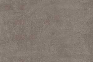 ASH GREY GL