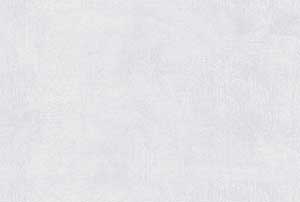 ASH WHITE GL