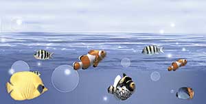 FISH POND HL-1 GL