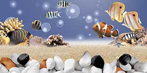 FISH POND HL-2 GL