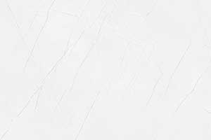 FLUX WHITE