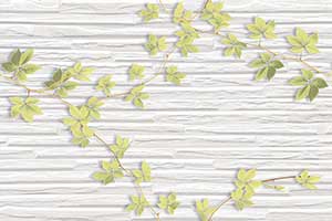 LACKER WHITE DECOR MT
