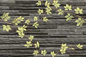 LACKER NERO LEAF GL